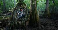 Got to Mac Stone Puts His Photography to Work to Save Southern Swamps article