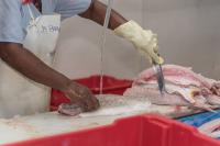 Over 9,000 Guyanese to benefit from fish-cage project