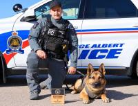 Prince Albert police dogs place among Canada's best