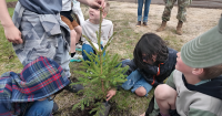 Anchorage Park Foundation seeks volunteers for tree planting