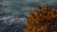 Strong El Nino could shape Western Montana’s fall, winter outlook