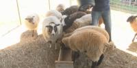South Carolina spotlight: Baker Farm Fall Festival -- and other news across the state