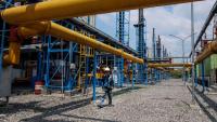 Indonesia's PLN Targets 60 Million Tons of Biomass for Energy Supply