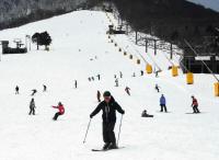 Japan ski resorts using only natural snow could fall to 7 on warming: study