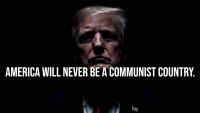 ‘Love me’: White House uses taxpayer money to air ads lavishing praise on Trump