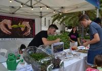 Malaga city hosts 350 scientists and 73 events on European Researchers' Night this Friday