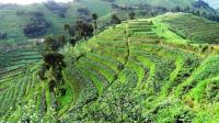 Rwanda seeks to turn climate ambitions into a new wave of investment