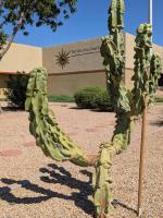 What Arizona’s ESA program shows Texas families about school choice, oversight and public school funding