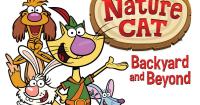 Nature Cat exhibit brings hands-on STEM play to Wausau's Children's Imaginarium