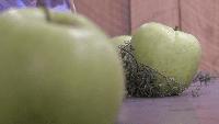 Dixon’s Apple Palooza brings apples, cider, and live music to the DECC