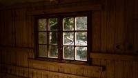 Man lives off-grid in tiny home at forest's edge, says he keeps 'one foot in society'