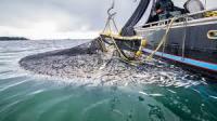 Marine research to unlock blue economy potentia
