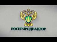 The court upheld Rosprirodnadzor's demand to recover 2.11 million rubles for soil pollution in Kalmykia