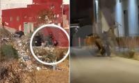 Videos show Spanish soldiers chasing down and beating Ceuta migrants with batons as chaos continues following 'invasion' of African enclave