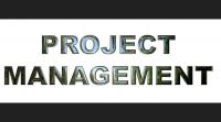 The Green Era in Project Management: Is Iraqi Business Ready?