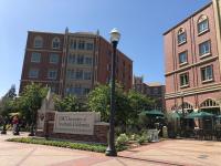 US university ends contract for sending human cadavers to train Israeli military personnel