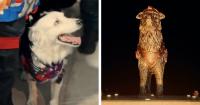 Tsunami the Heroic Dog Is Honored With a Statue After Helping in the Venezuelan Earthquake Rescue Efforts