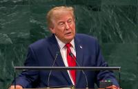 Trump rejects Iran’s 7-day ceasefire plan, US strikes may resume: Report