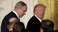 Donald Trump makes crucial mistake ahead of midterm elections - and it's all because of his deep unpopularity