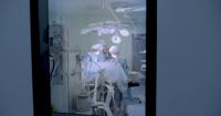 Patients and medical experts raise awareness about living organ donors