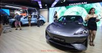 Automobile Business Faces Major Setbacks Due to Disasters During Peak Season