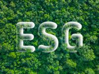 Nigeria’s ESG Report Card: Progress is real, but the silence on just transition is deafening