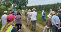 Autumn farm walks will showcase practical examples of sustainability in action