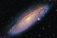 Study of rare galaxy cores reveals new clues about sources of X-ray emissions reaching Earth