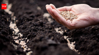In 2022, Honest Raja left his robotics job and travelled 60,000 km across India to collect 300 native seeds; today, he grows them on his 2-acre farm to keep forgotten crops alive