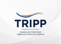 Armenia rules out TRIPP equity-for-investment format