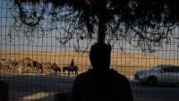Israeli settlers seizing natural springs in the West Bank