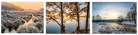 Endless Trails: Discover Lithuania’s Wild Side on Foot