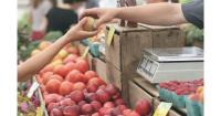 Catalonia marks a "record" of agricultural, livestock, and fishing membership in August