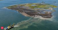 In 2019, Maryland pumped 60,000 cubic yards of dredged mud onto eroding Swan Island; the material rebuilt about 12 acres of marsh and dunes with 200,000 plants