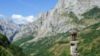 British man, 28, dies in mountain fall in northern Spain