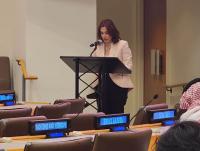 Armenia co-organizes U.N. pandemic declaration talks