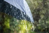 Rain and thunderstorms on the way as weather set to deteriorate
