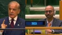 Shehbaz Sharif’s ‘Victory’ Claim At UNGA: Indian Diplomat’s Reaction Goes Viral