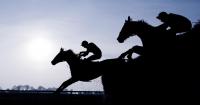 Horse owner insists Austrian Painter and My Struggle names have nothing to do with Hitler