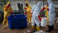 How Mexican cartels are expanding bloodthirsty drug empire worldwide with super meth labs, gang-alliances & grim tactics