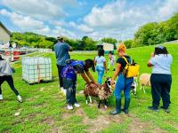 Opinion: Why we chose farming, and why we’re inviting Milwaukee to grow with us