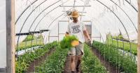 Toronto's top chefs are taking up farming, bringing new meaning to farm-to-table dining