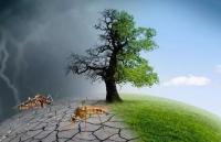 Britain’s financial pledge to tackle climate change