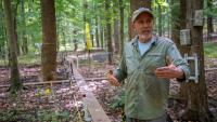 Why Smithsonian scientists flood an Anne Arundel forest every summer