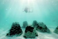 Letter: Hawaii can harness AI to rebuild eroded beaches
