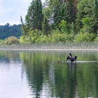 Minnesota celebrates Public Lands Day, 75 years of wildlife management areas