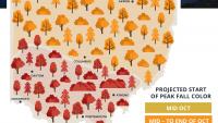 It's looking like a colorful fall in Ohio. How to track when leaves will peak 