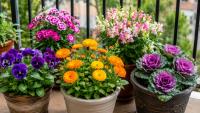 Gardening Tips: 5 Easy Balcony Planting Ideas to Turn Your City Home into Lush Green Space