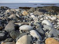 Earth Matters: The Canadian invasions