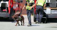 Watch: Police K-9 Limps Out Hospital to a Round of Applause After Surgery for a Catastrophic On-Duty Injury